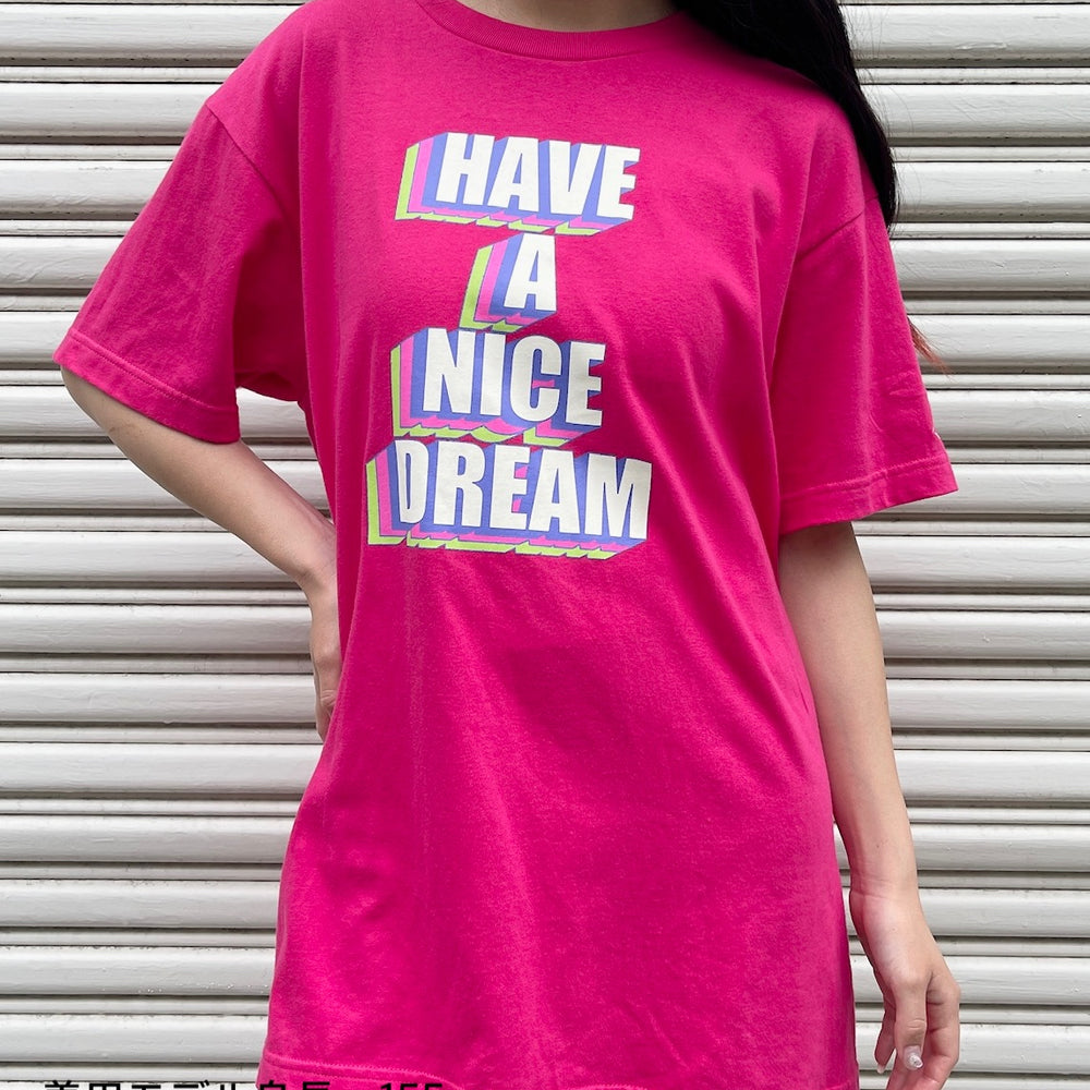 
                      
                        HAVE A NICE DREAM T shirt
                      
                    