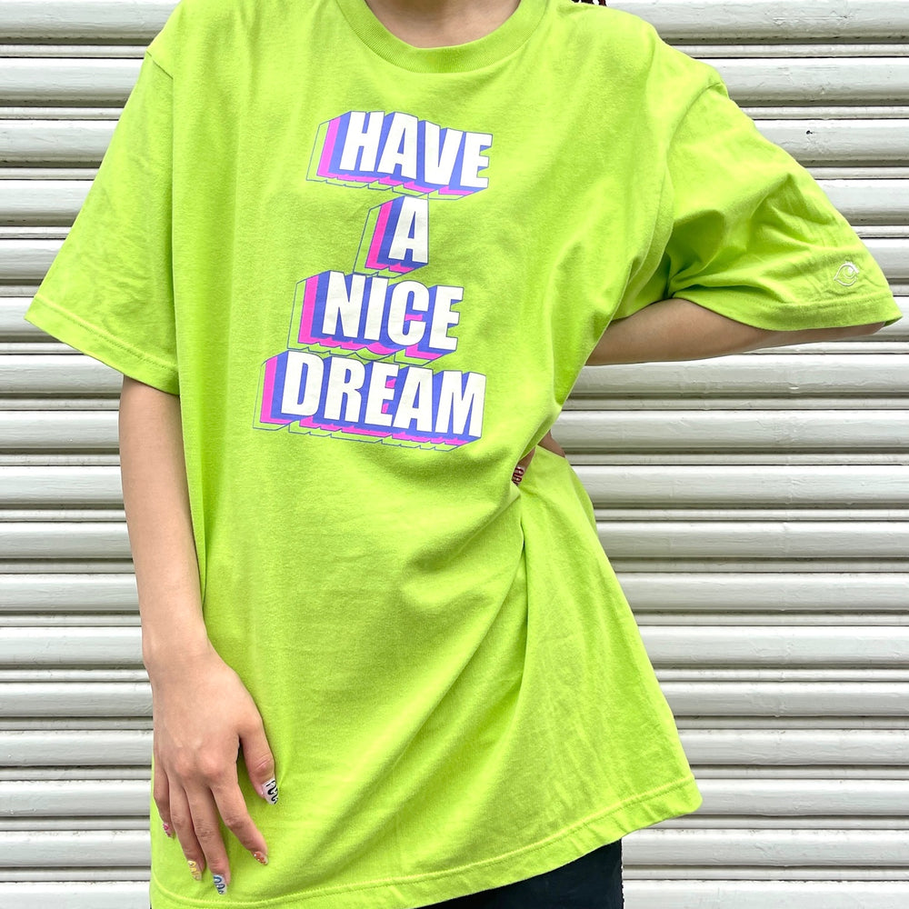 
                      
                        HAVE A NICE DREAM T shirt
                      
                    